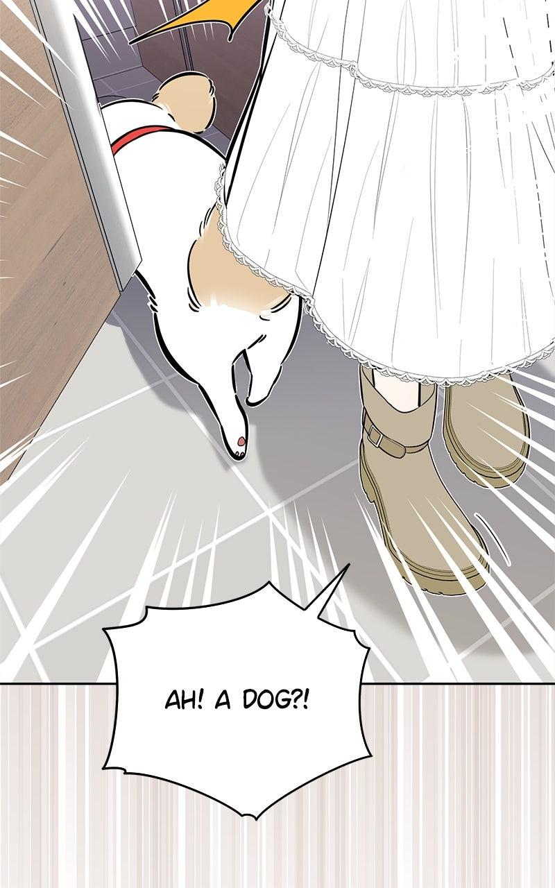 Woke Up as the CEO's Dog Chapter 45 page 11 - 