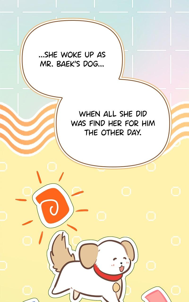 Woke Up as the CEO's Dog Chapter 45 page 49 - 