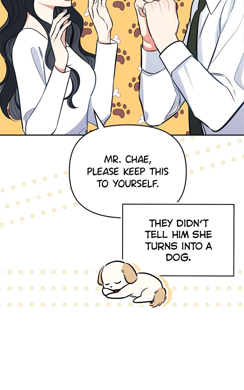 Woke Up as the CEO's Dog Chapter 45 page 94 - 