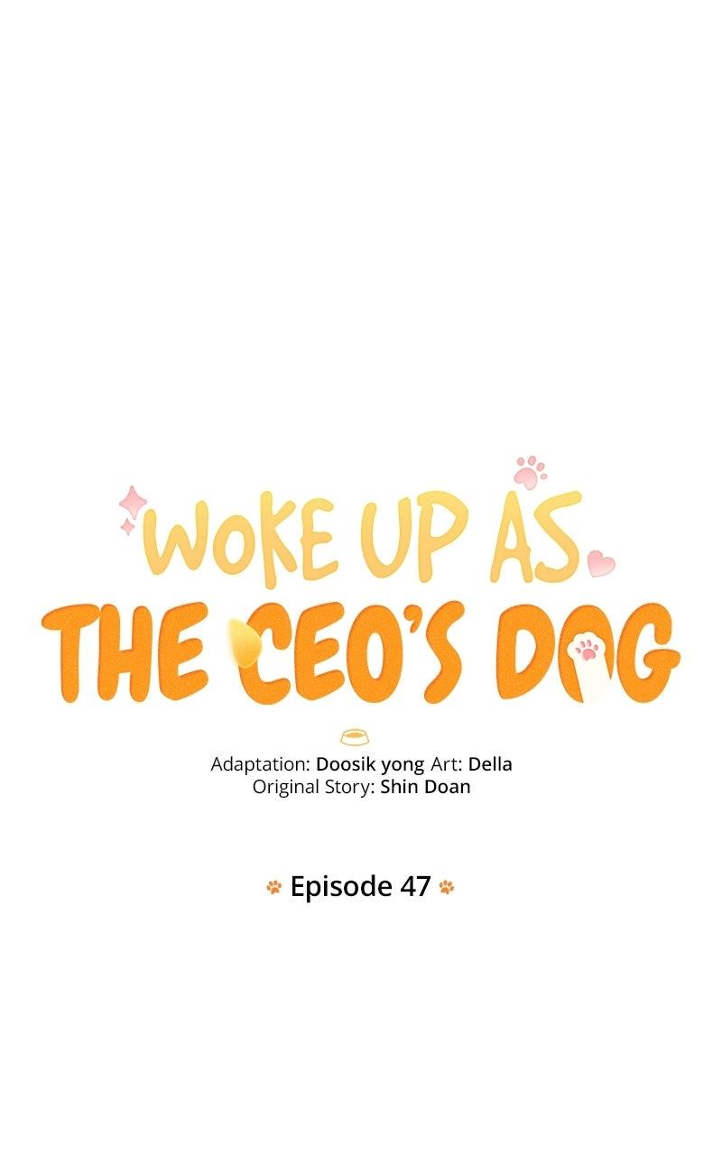 Woke Up as the CEO's Dog Chapter 47 page 19 - 