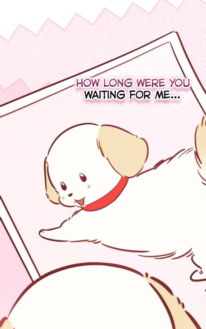 Woke Up as the CEO's Dog Chapter 47 page 83 - 