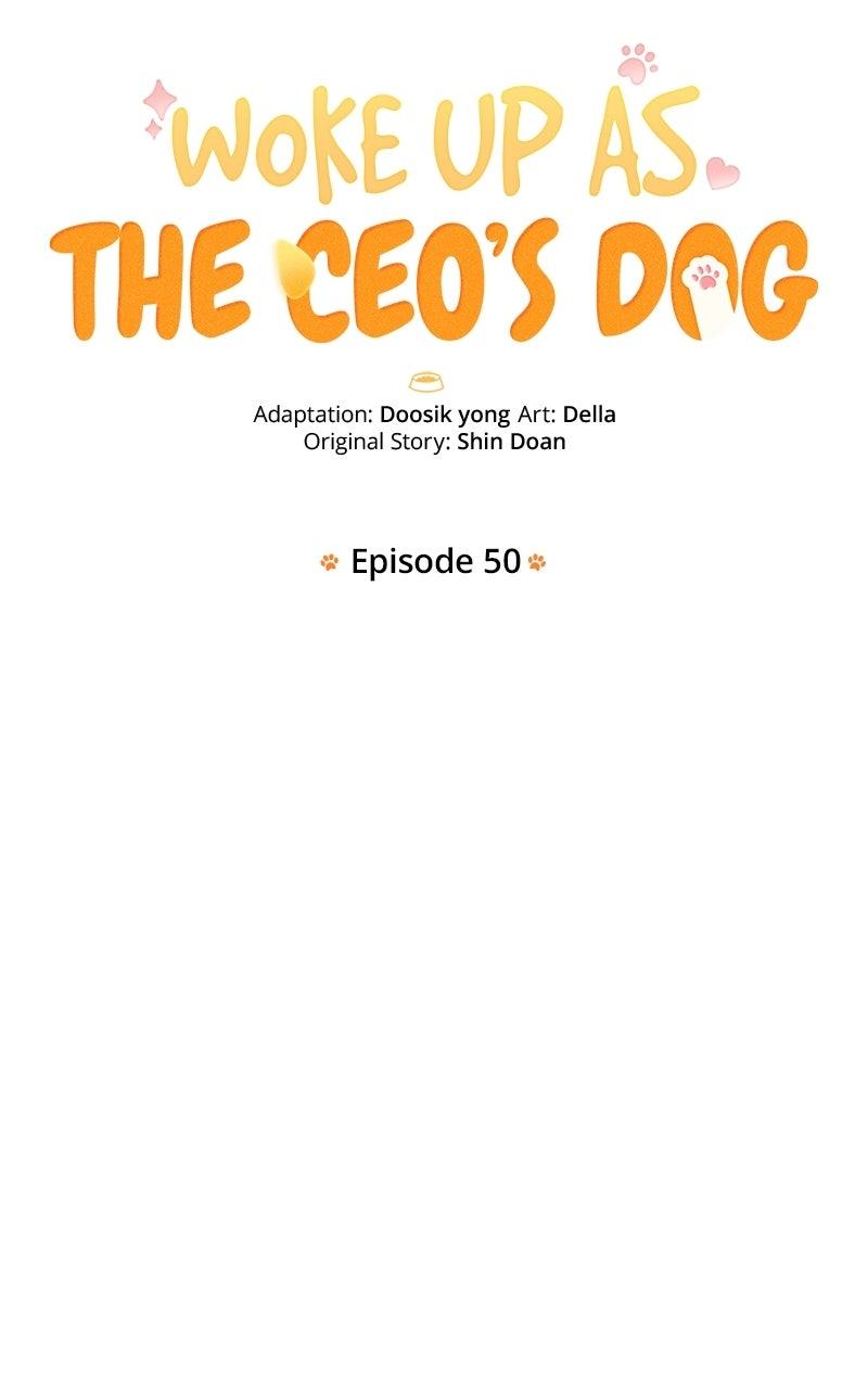 Woke Up as the CEO's Dog Chapter 50 page 32 - 