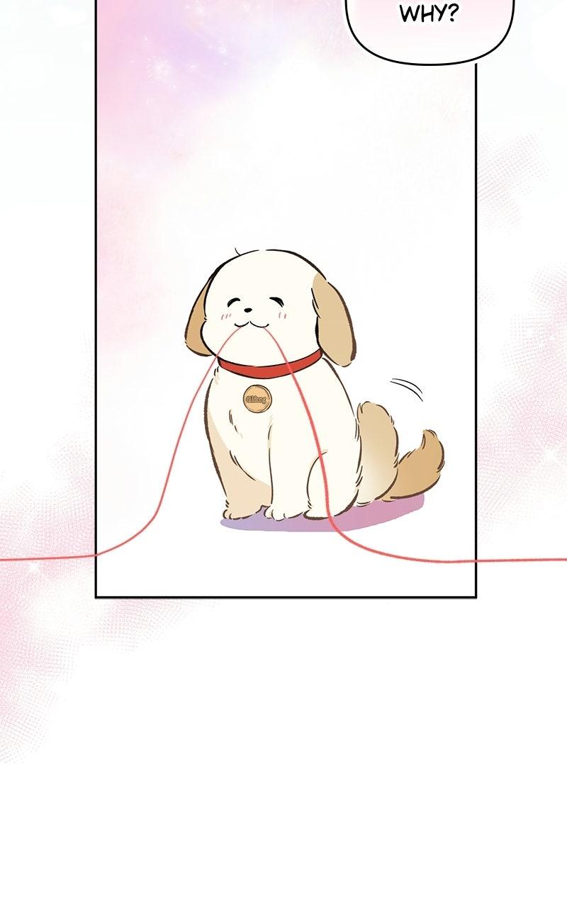 Woke Up as the CEO's Dog Chapter 53 page 81 - 