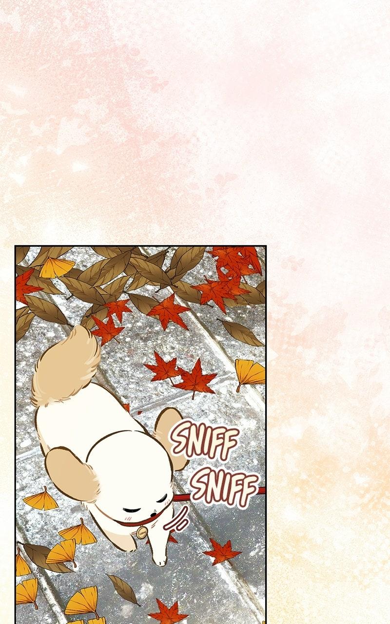 Woke Up as the CEO's Dog Chapter 56 page 3 - 