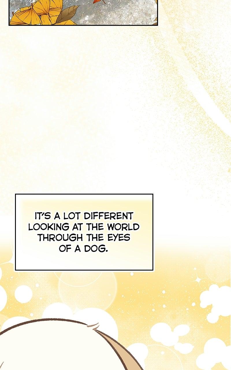 Woke Up as the CEO's Dog Chapter 56 page 4 - 