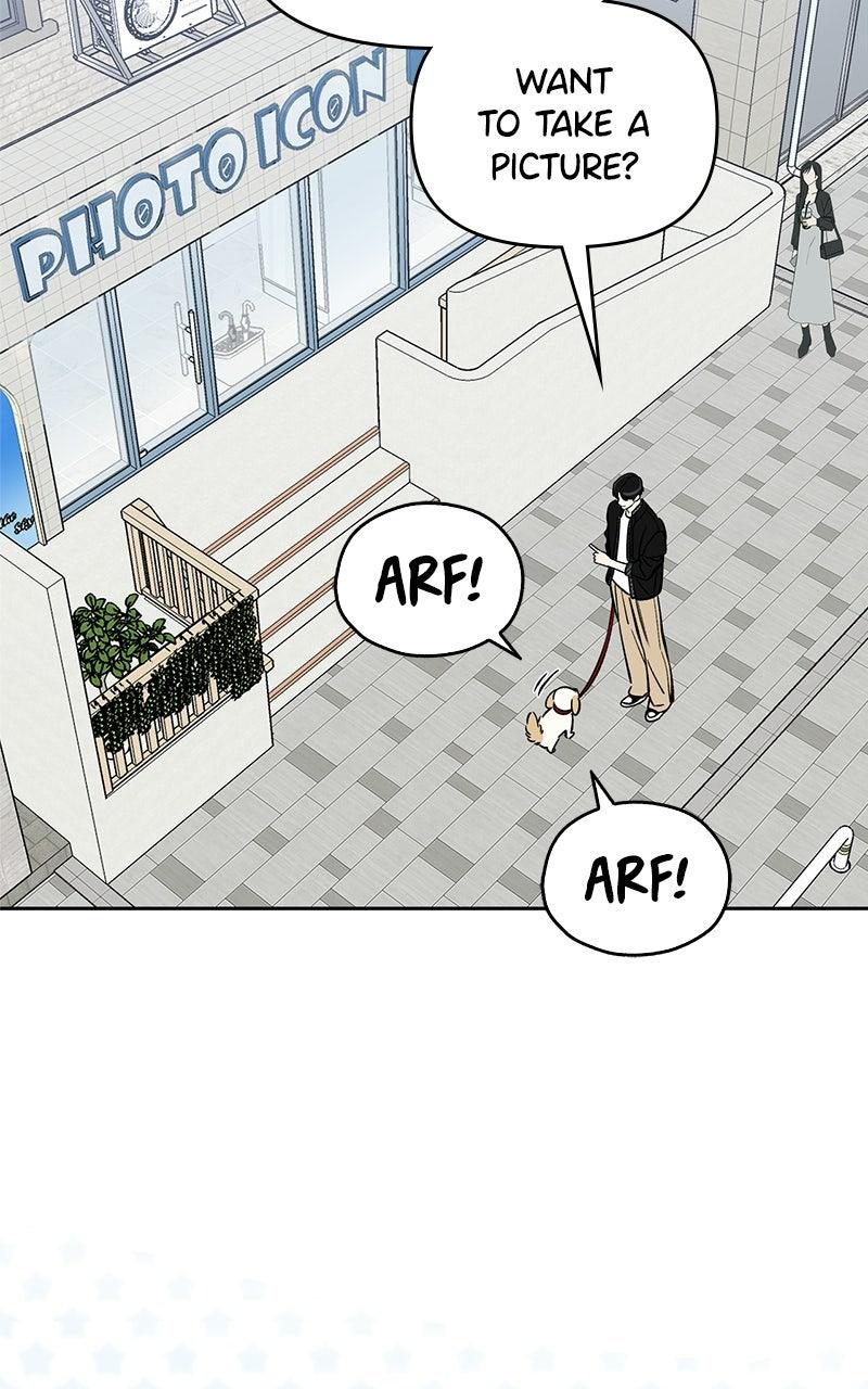 Woke Up as the CEO's Dog Chapter 56 page 10 - 
