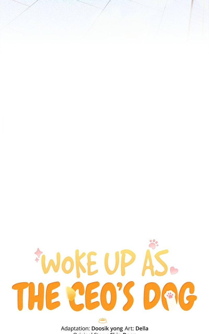 Woke Up as the CEO's Dog Chapter 57 page 12 - 