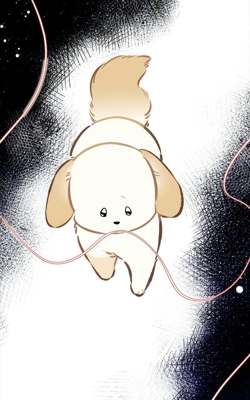 Woke Up as the CEO's Dog Chapter 58 page 29 - 