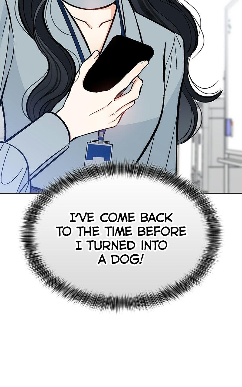 Woke Up as the CEO's Dog Chapter 58 page 85 - 