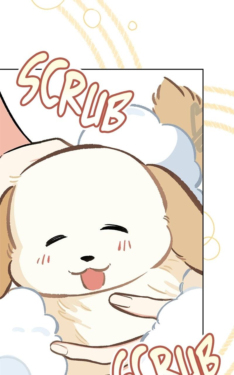 Woke Up as the CEO's Dog Chapter 59 page 79 - 