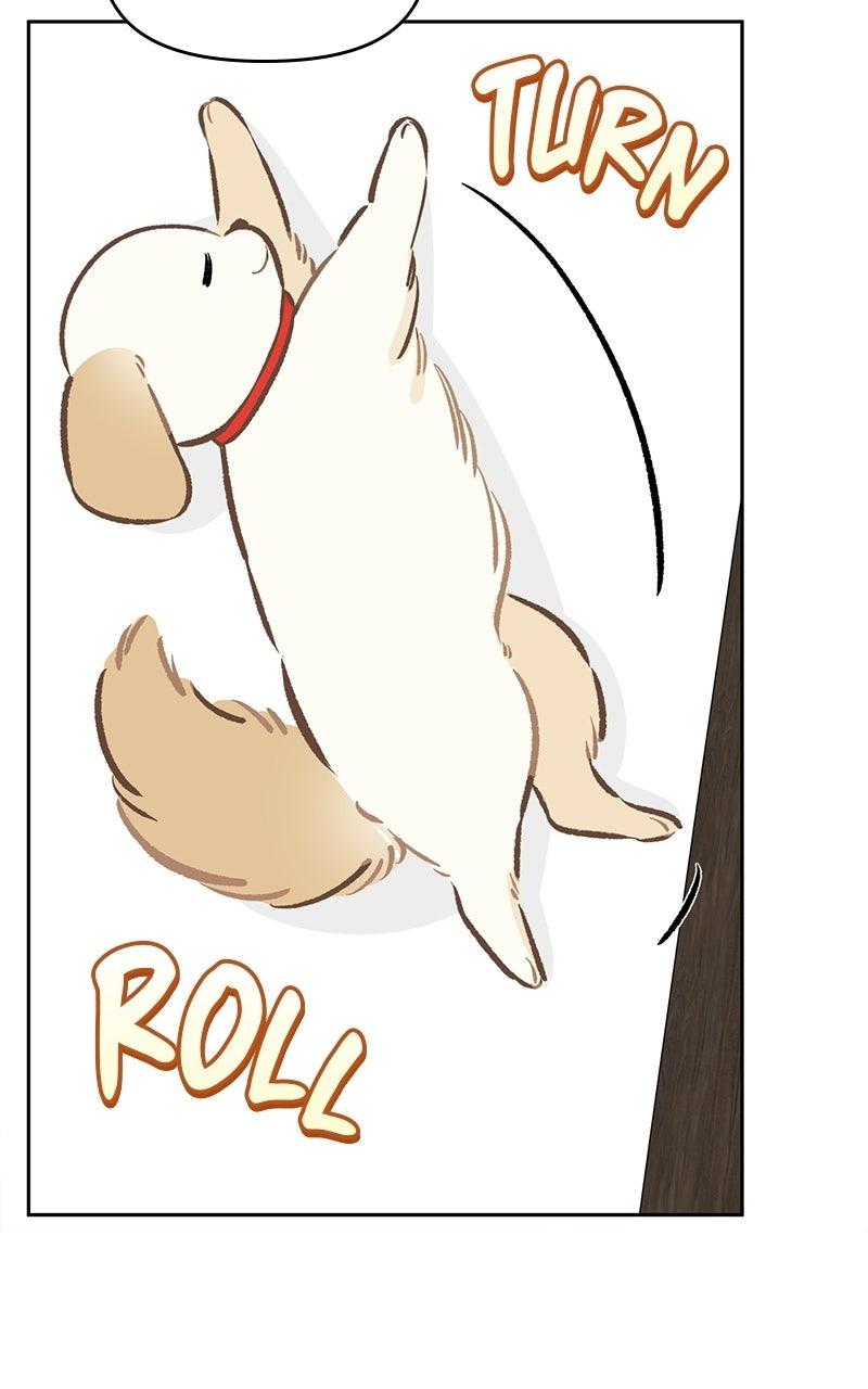 Woke Up as the CEO's Dog Chapter 59 page 85 - 