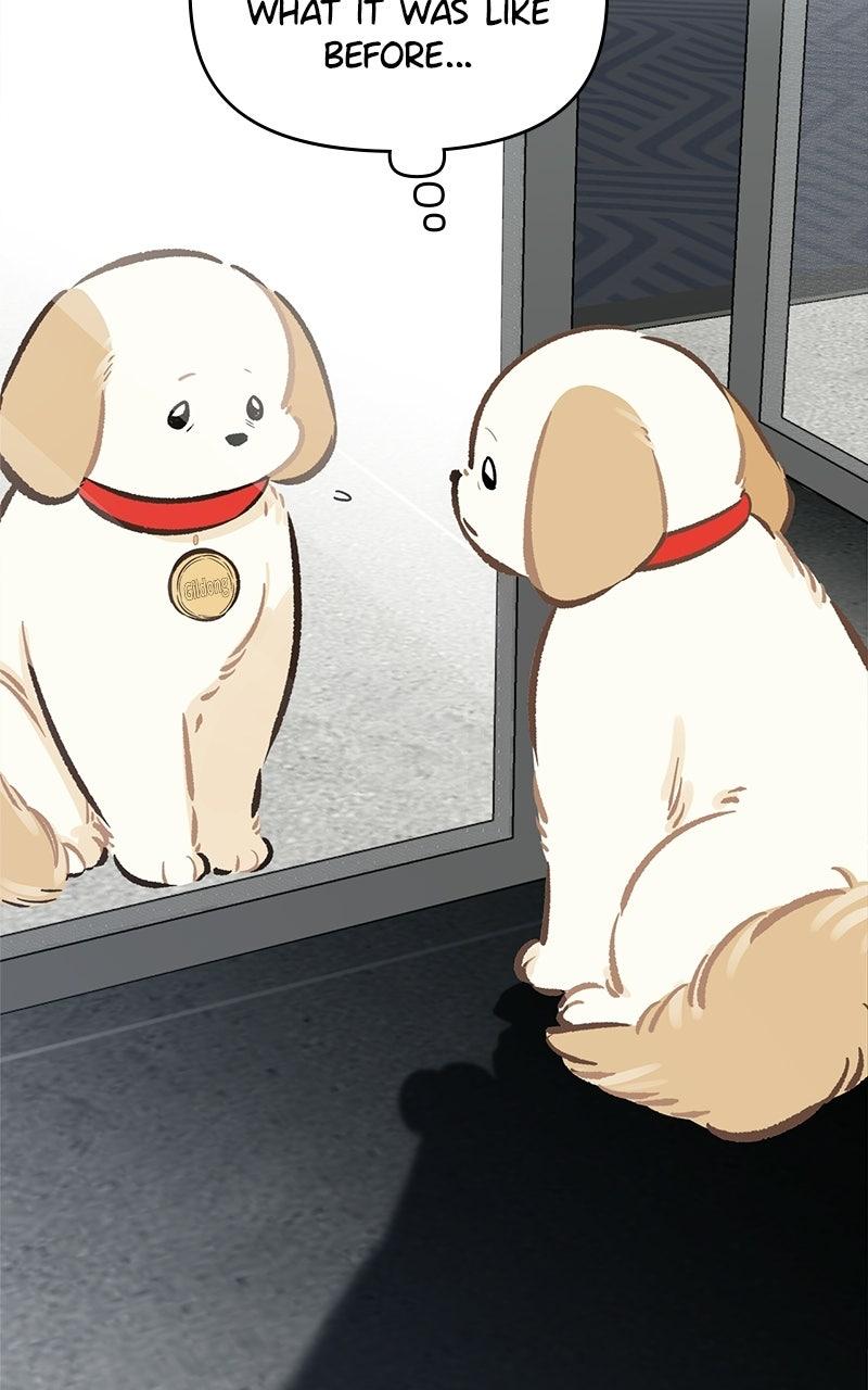 Woke Up as the CEO's Dog Chapter 60 page 23 - 