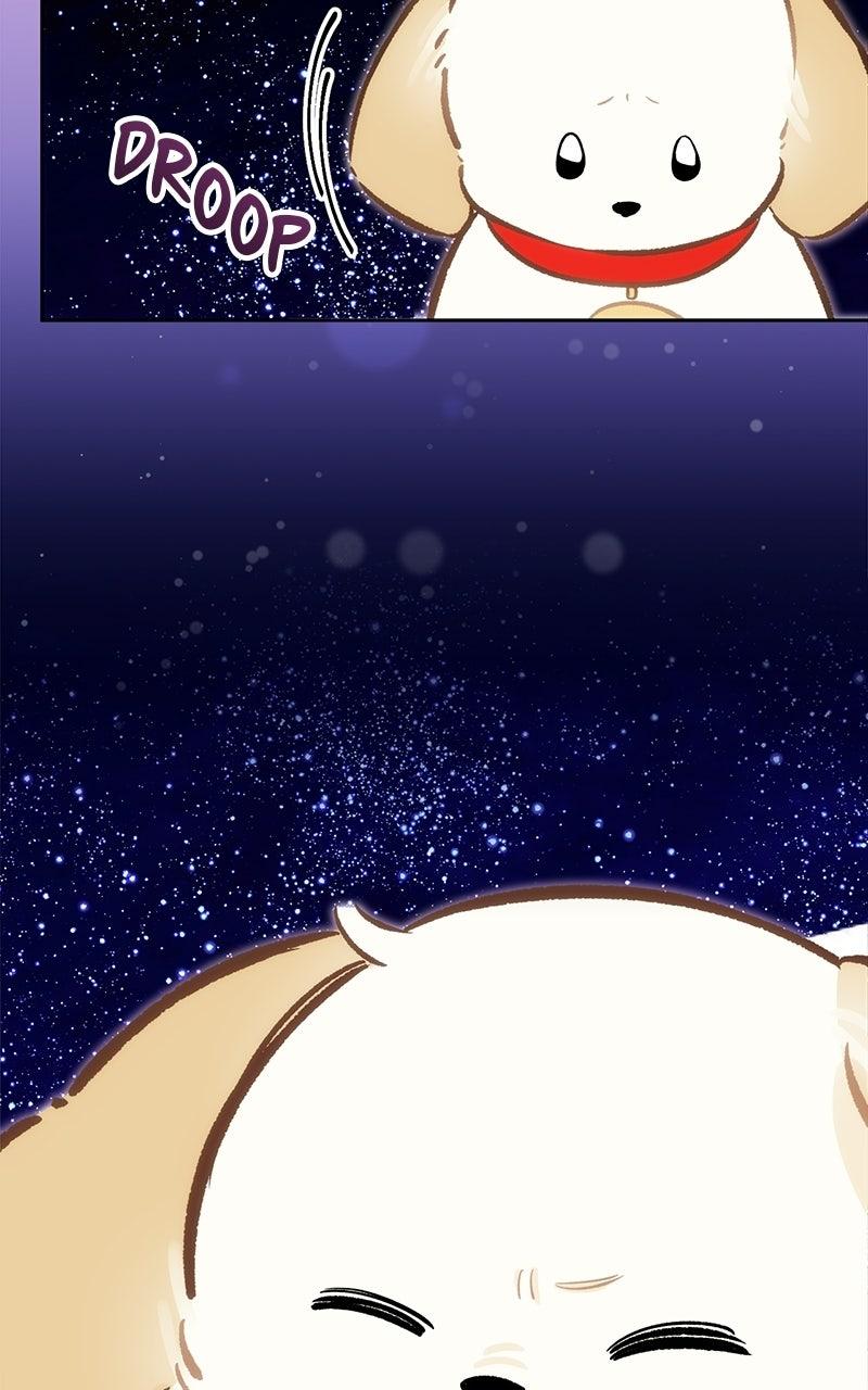 Woke Up as the CEO's Dog Chapter 60 page 47 - 