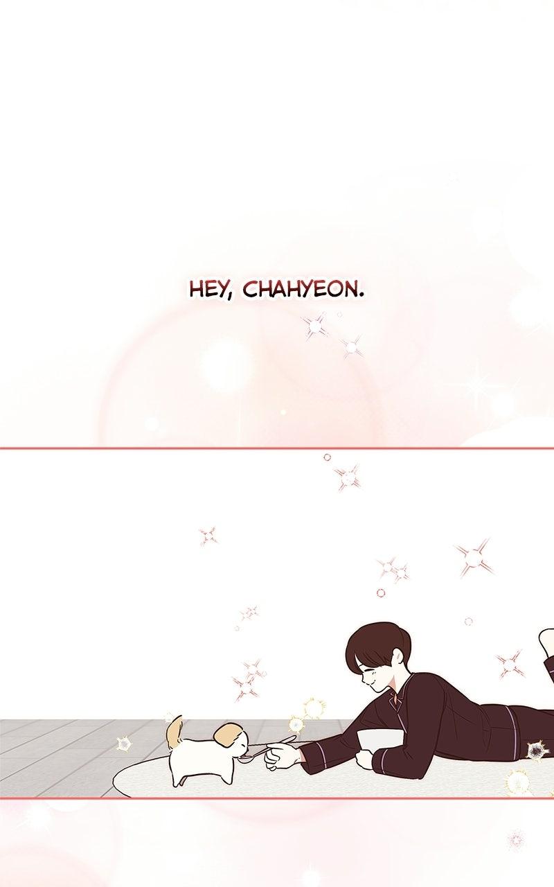 Woke Up as the CEO's Dog Chapter 60 page 92 - 