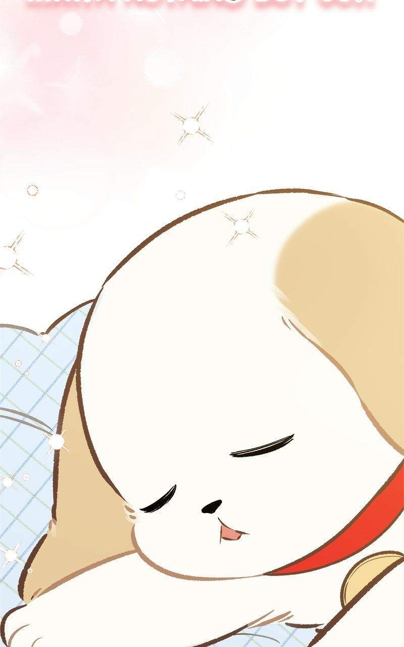 Woke Up as the CEO's Dog Chapter 60 page 96 - 