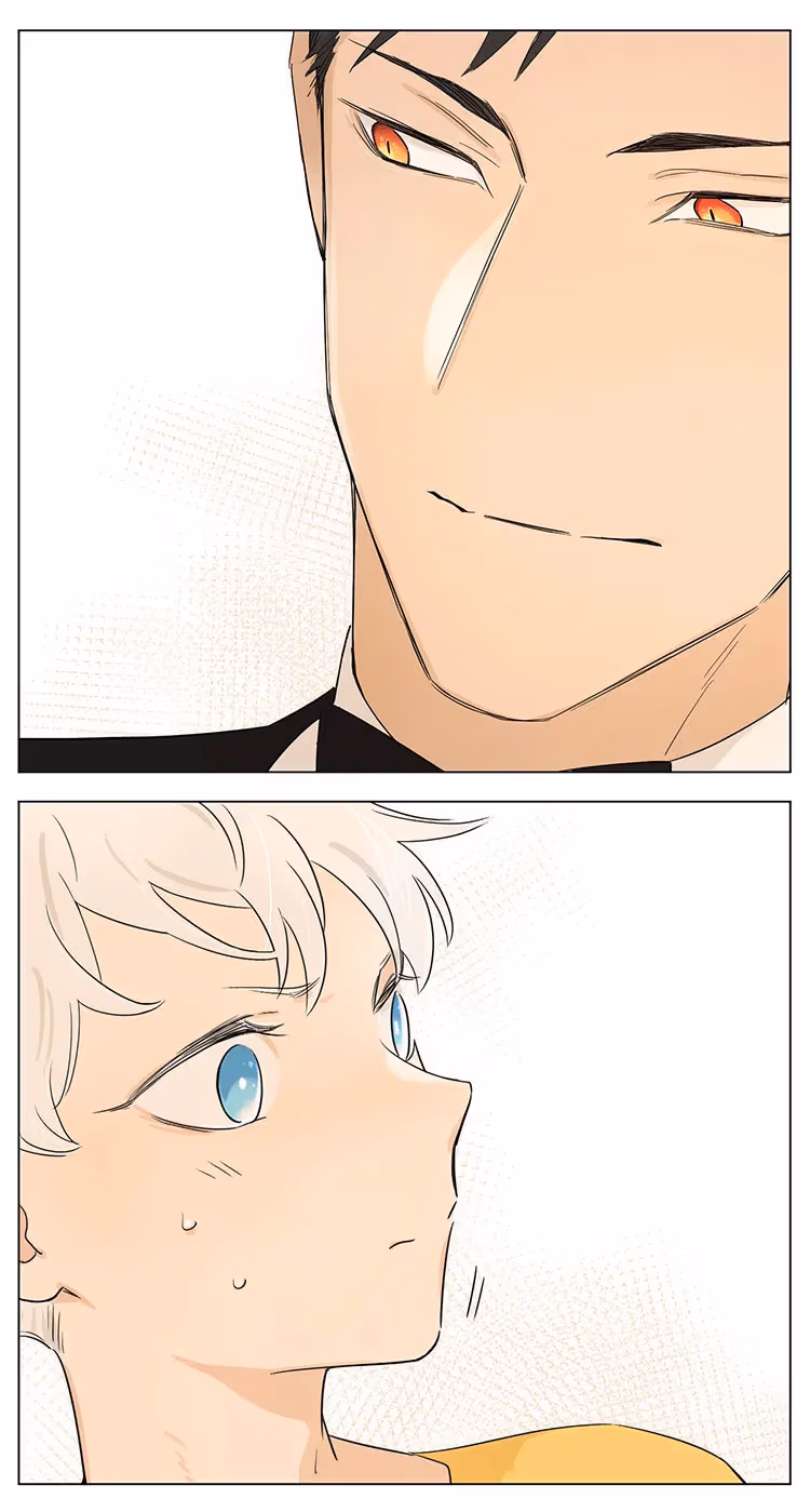 Wolf Butler and His Cat Master Chapter 16 page 4 - 