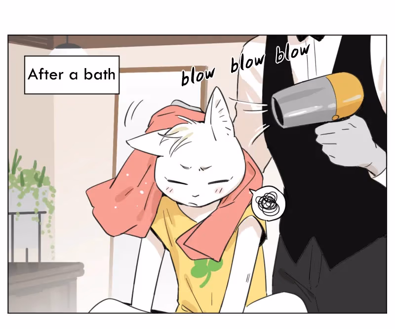 Wolf Butler and His Cat Master Chapter 4 page 1 - 