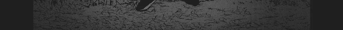 Wonderland Chapter 37 page 2 - 