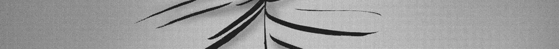 Wonderland Chapter 41 page 28 - 