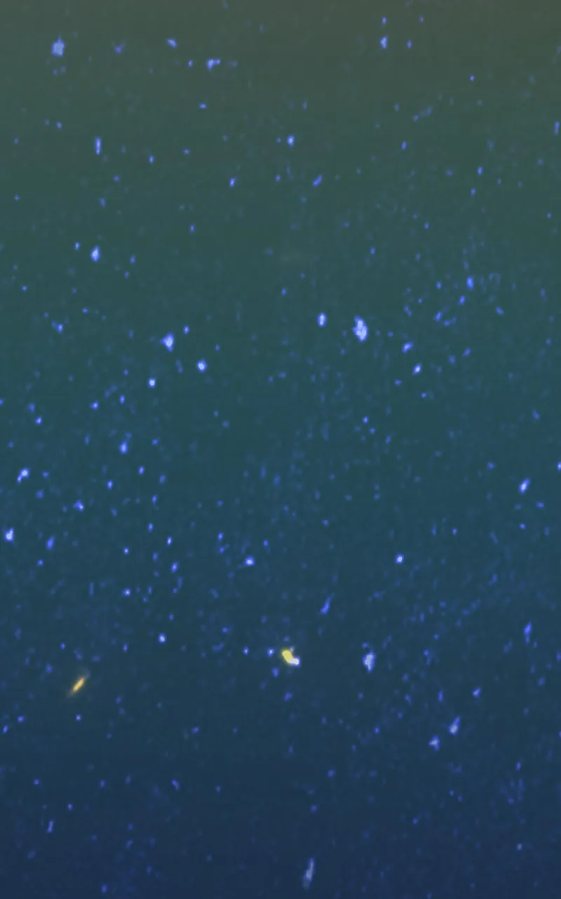 Woven Chapter 29 page 33 - 