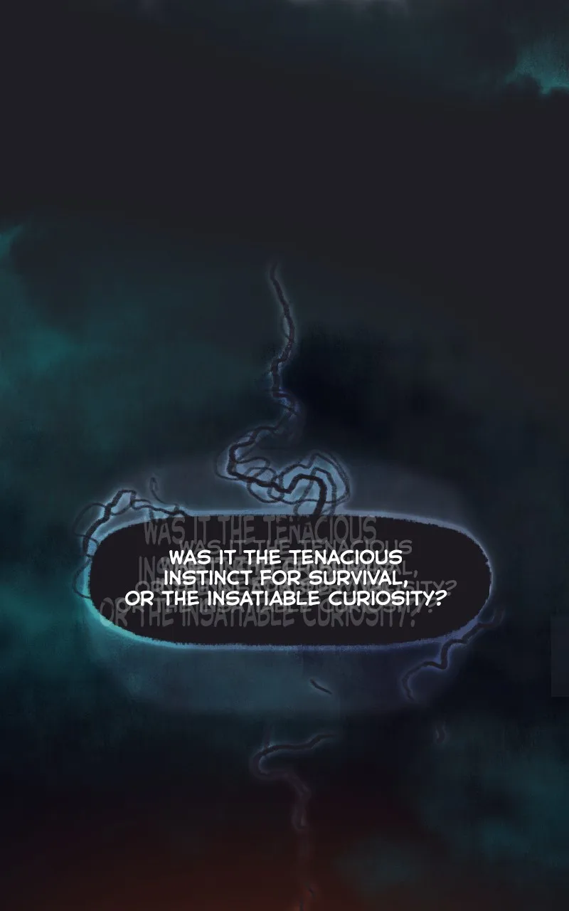 Woven Chapter 48 page 43 - 