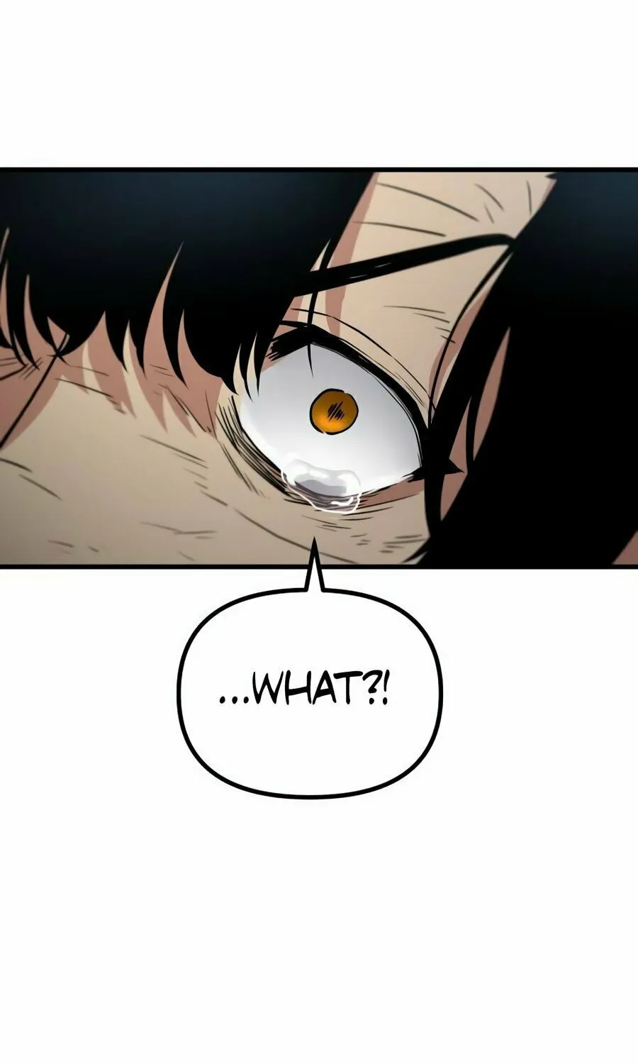 Wrecker Driver Chapter 2 page 250 - 