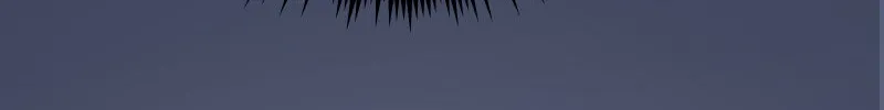 Writers Legacy Chapter 41 page 96 - 