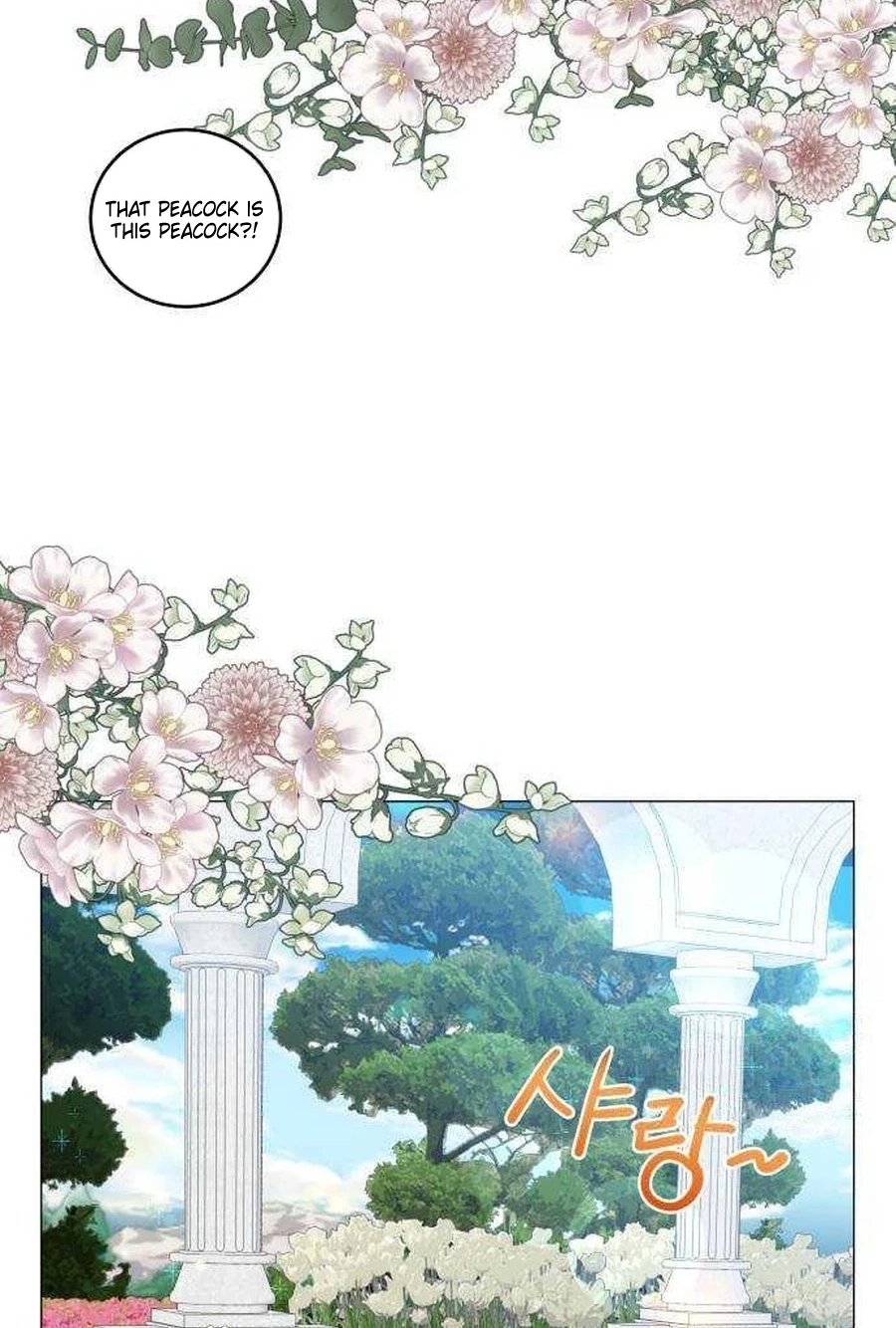 Yard for Two Chapter 284 page 41 - 