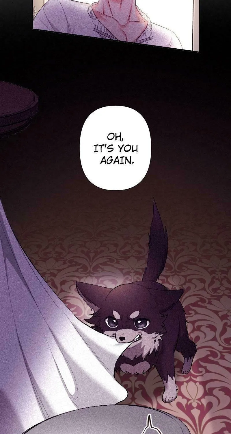 Yari Suterareta Seijo wa, Raisede wa Dekiai Kyohi Suru Koto o Chikaimasu Chapter 12 page 28 - 