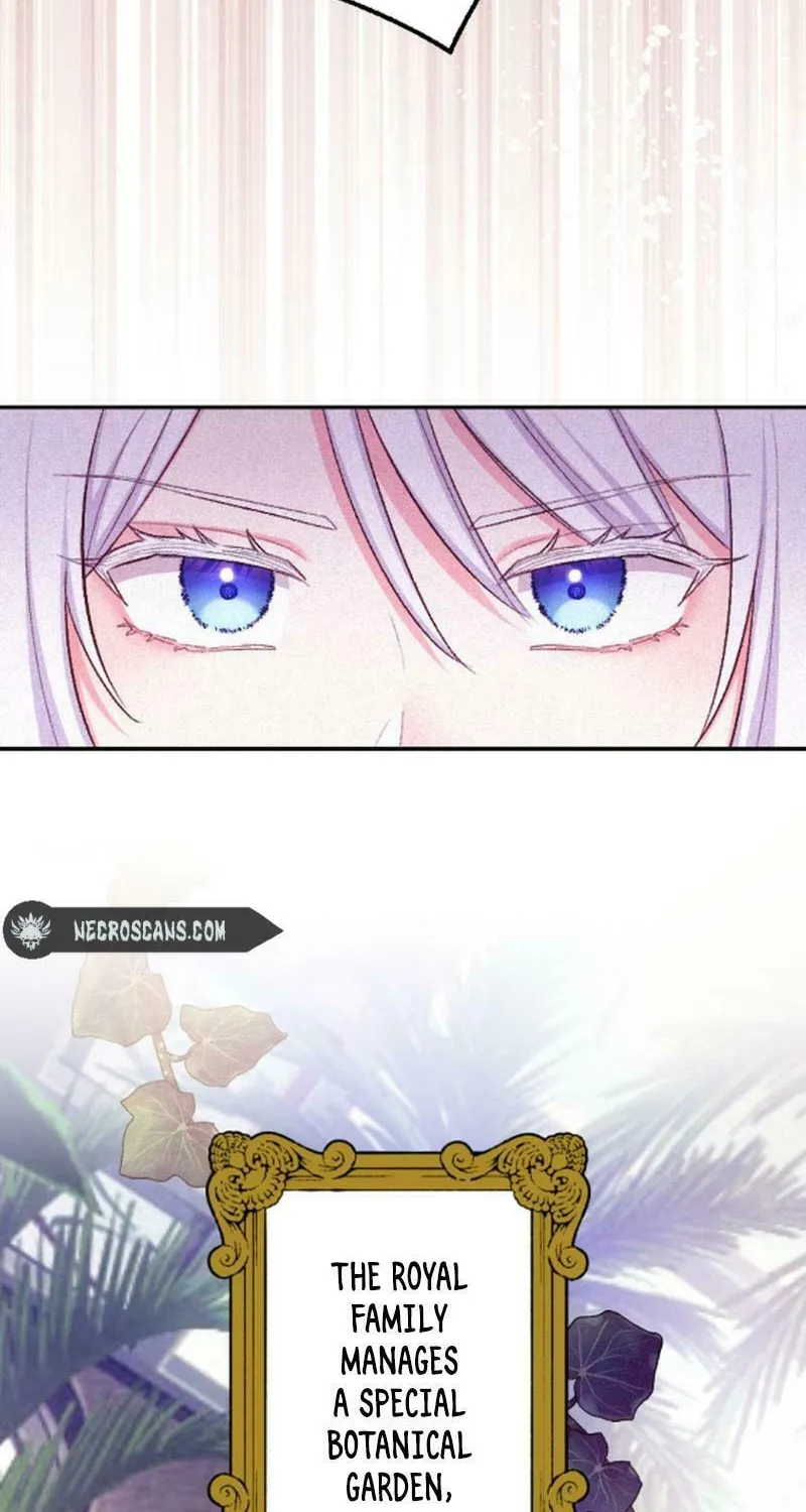 Yari Suterareta Seijo wa, Raisede wa Dekiai Kyohi Suru Koto o Chikaimasu Chapter 15 page 30 - 