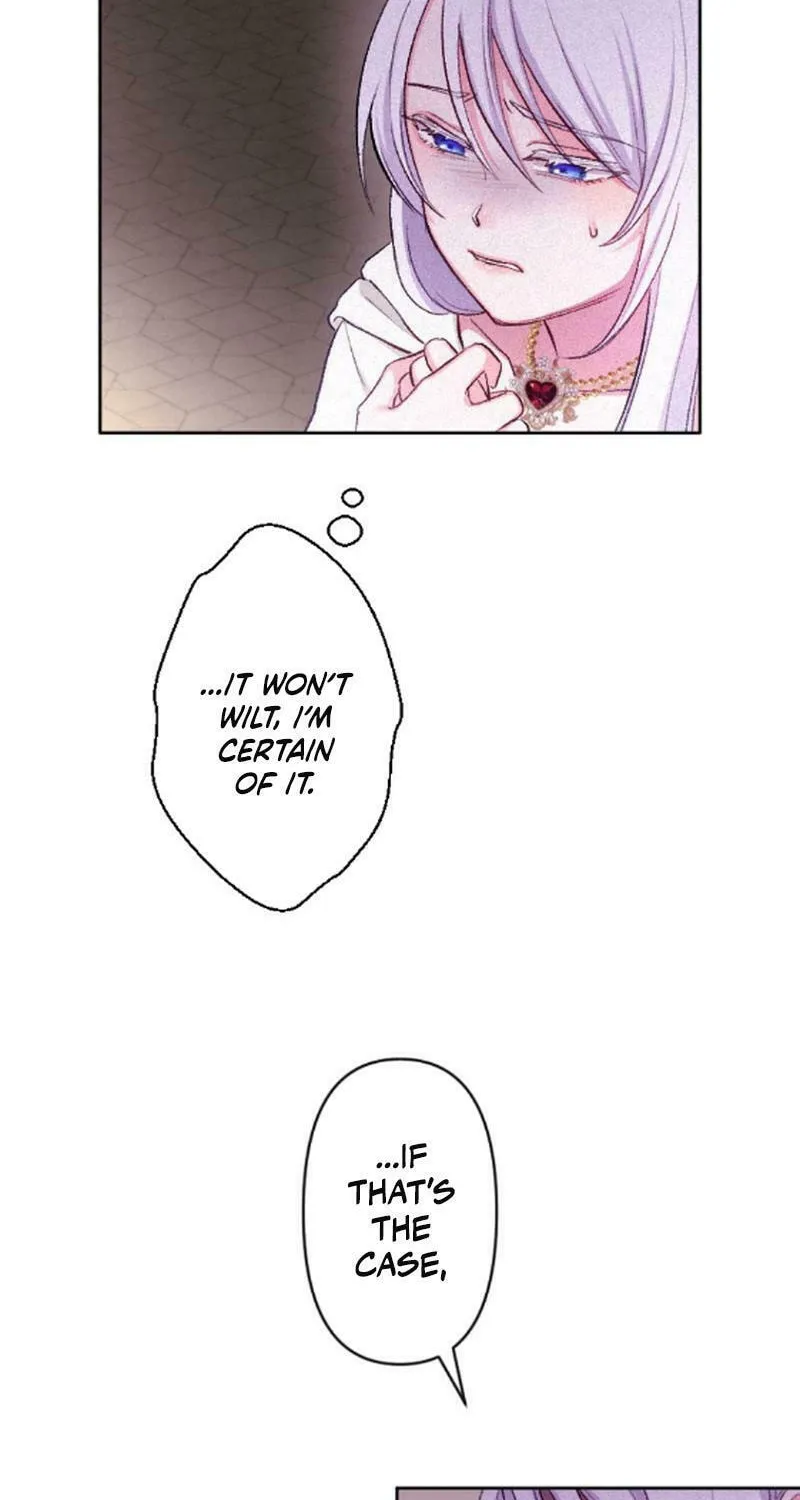 Yari Suterareta Seijo wa, Raisede wa Dekiai Kyohi Suru Koto o Chikaimasu Chapter 15 page 38 - 