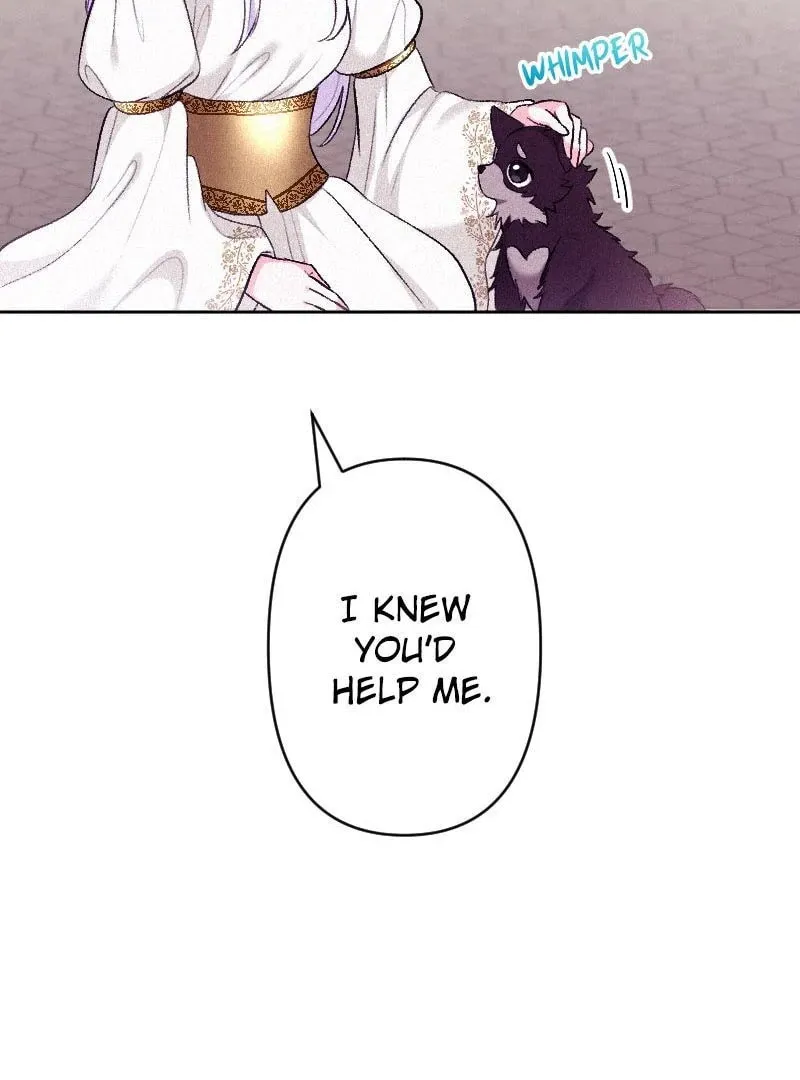 Yari Suterareta Seijo wa, Raisede wa Dekiai Kyohi Suru Koto o Chikaimasu Chapter 16 page 31 - 