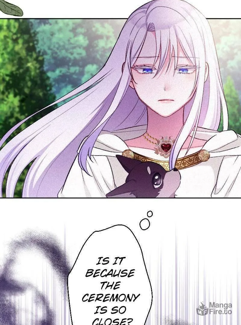 Yari Suterareta Seijo wa, Raisede wa Dekiai Kyohi Suru Koto o Chikaimasu Chapter 16 page 48 - 
