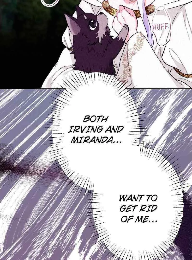 Yari Suterareta Seijo wa, Raisede wa Dekiai Kyohi Suru Koto o Chikaimasu Chapter 16 page 64 - 