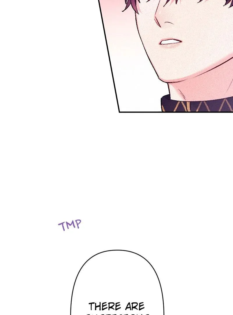 Yari Suterareta Seijo wa, Raisede wa Dekiai Kyohi Suru Koto o Chikaimasu Chapter 17 page 41 - 