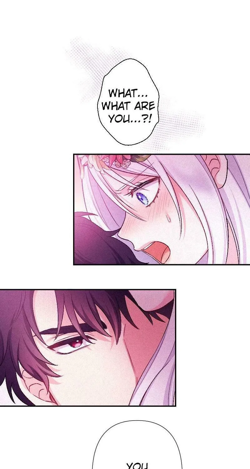 Yari Suterareta Seijo wa, Raisede wa Dekiai Kyohi Suru Koto o Chikaimasu Chapter 4 page 56 - 