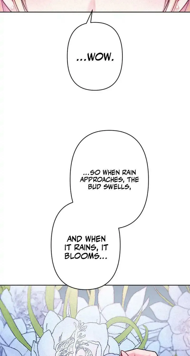 Yari Suterareta Seijo wa, Raisede wa Dekiai Kyohi Suru Koto o Chikaimasu Chapter 44 page 19 - 