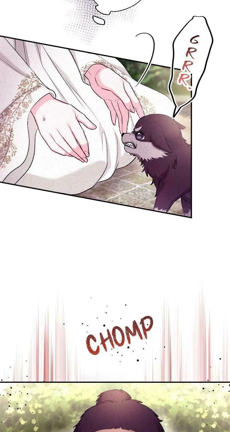 Yari Suterareta Seijo wa, Raisede wa Dekiai Kyohi Suru Koto o Chikaimasu Chapter 6 page 47 - 