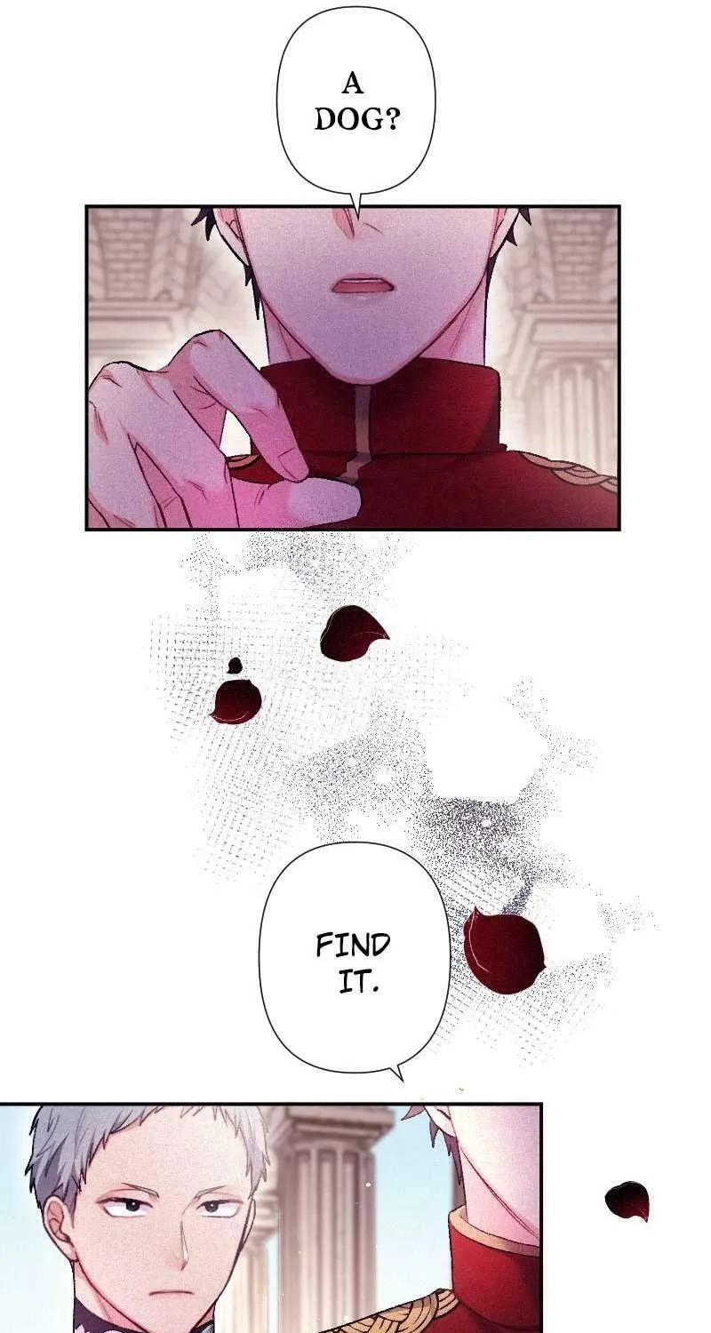 Yari Suterareta Seijo wa, Raisede wa Dekiai Kyohi Suru Koto o Chikaimasu Chapter 6 page 74 - 