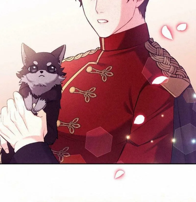 Yari Suterareta Seijo wa, Raisede wa Dekiai Kyohi Suru Koto o Chikaimasu Chapter 7 page 41 - 