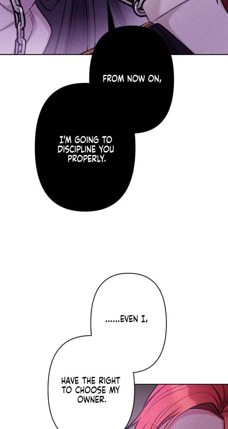 Yari Suterareta Seijo wa, Raisede wa Dekiai Kyohi Suru Koto o Chikaimasu Chapter 70 page 57 - 