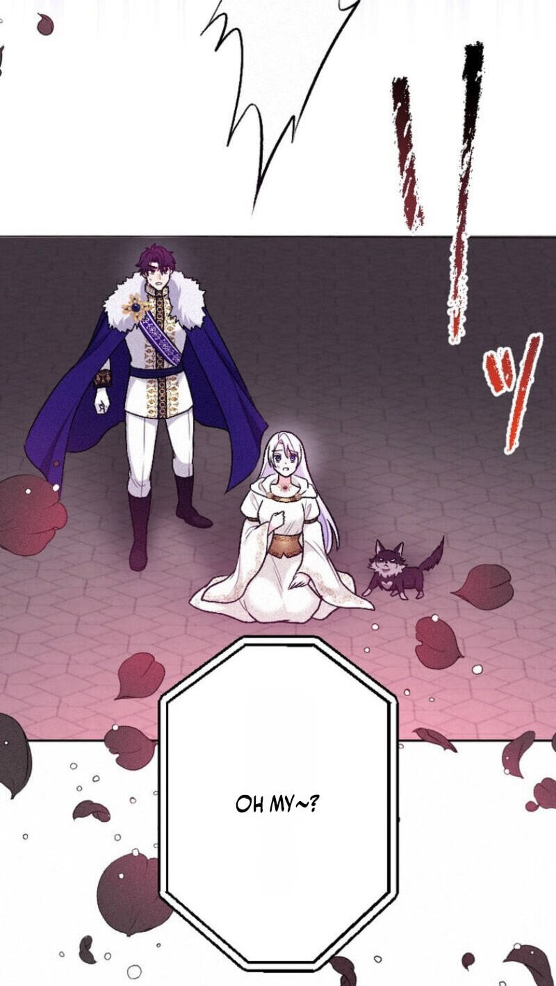 Yari Suterareta Seijo wa, Raisede wa Dekiai Kyohi Suru Koto o Chikaimasu Chapter 74 page 72 - 