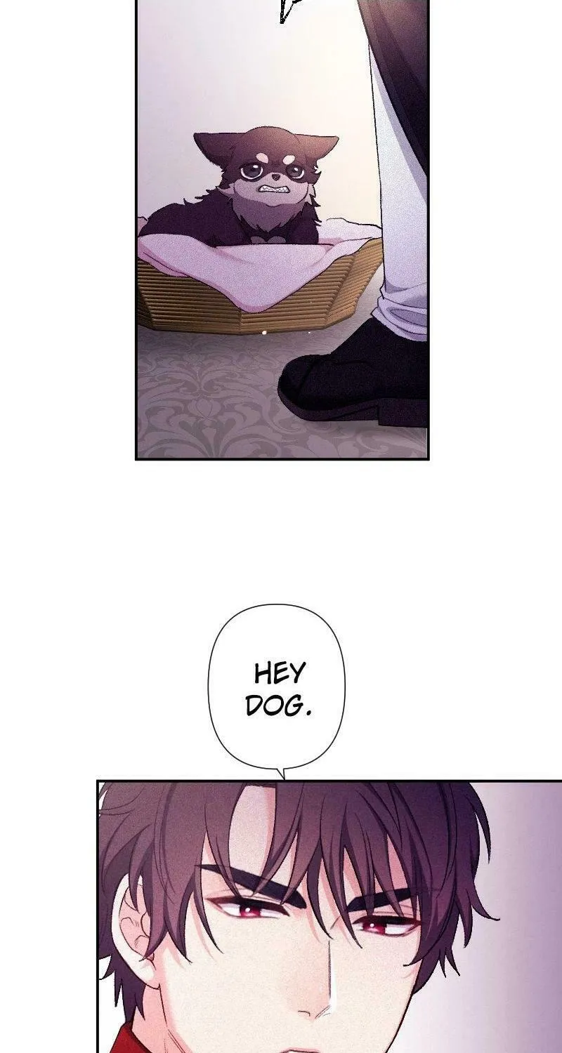 Yari Suterareta Seijo wa, Raisede wa Dekiai Kyohi Suru Koto o Chikaimasu Chapter 8 page 61 - 