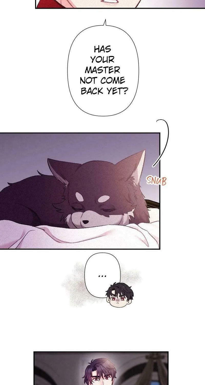 Yari Suterareta Seijo wa, Raisede wa Dekiai Kyohi Suru Koto o Chikaimasu Chapter 8 page 62 - 