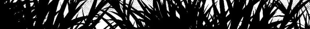 Yashahime: Princess Half-Demon Chapter 12 page 2 - 