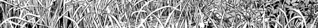 Yotsuba&! Chapter 105 page 14 - 
