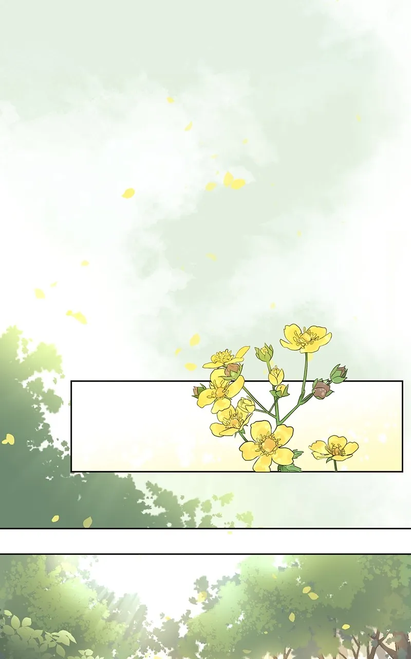 You Will Love Me Again Chapter 2 page 1 - 