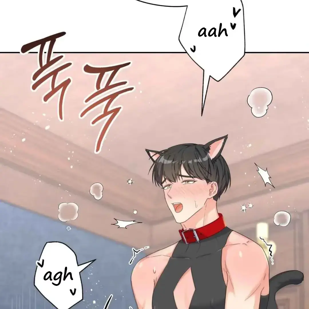 Your Perfect Little Pets Chapter 2 page 63 - 