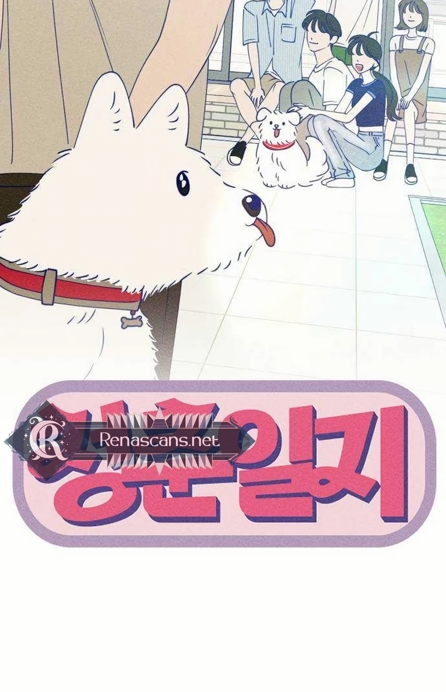 Youth Diary Chapter 603 page 15 - 