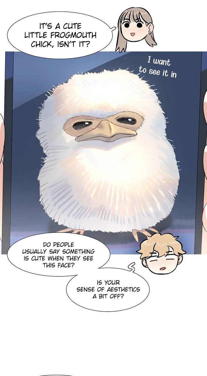 Youth Observation Chapter 9 page 83 - 